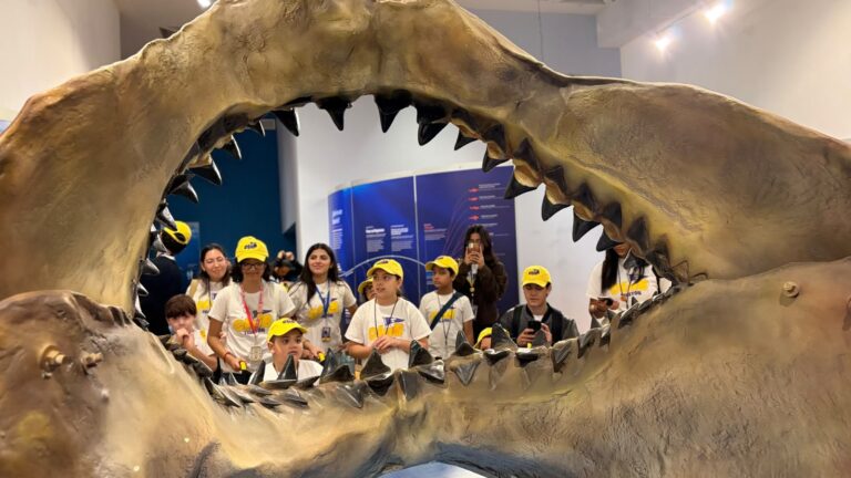 Viven niñas y niños del Club Teletón la experiencia “TIBURONES” que suma más de 15 mil visitantes